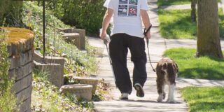 The closeup of a person walking a dog, shown from behind.