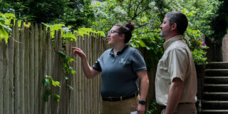 Mt. Lebanon's code enforcement officers look over a wooden fence.