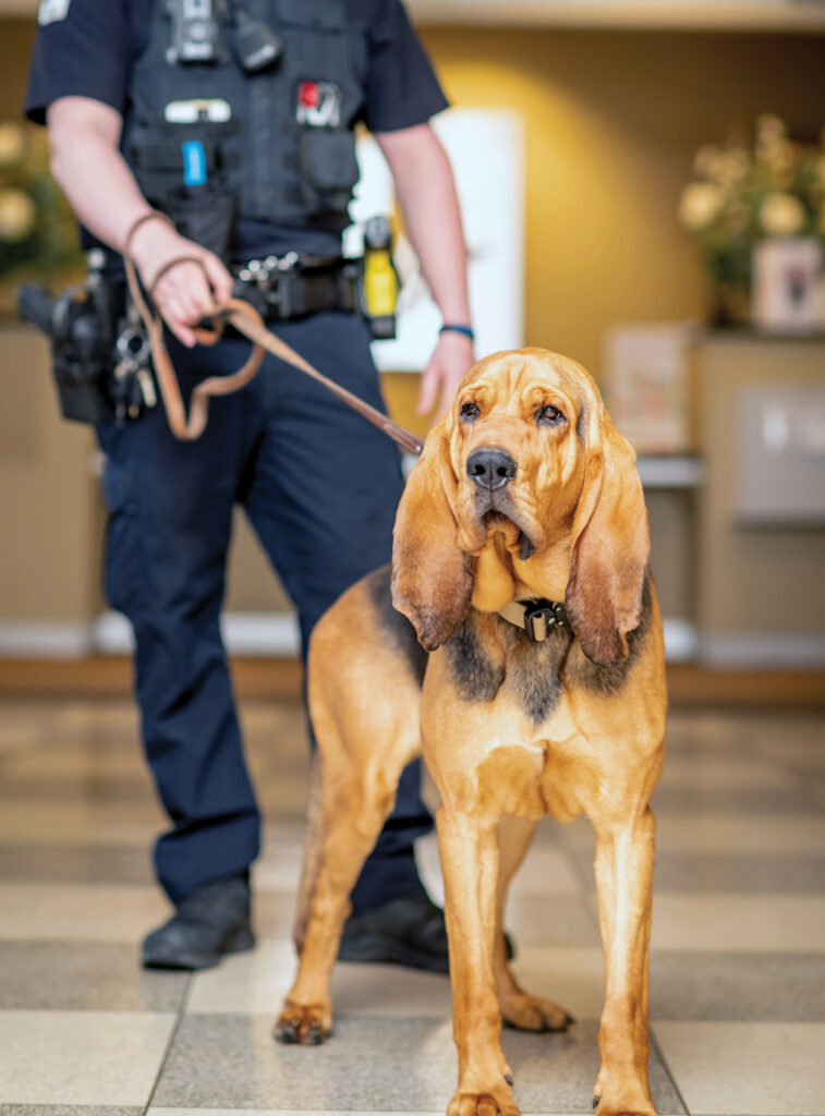 A police dog being held on a leash by a police officer in the municipal building.